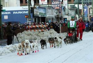 1012745-6-20150313142448-blind-dog-on-iditarod-sled-team.jpeg