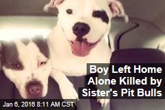 Boy Left Home Alone Killed by Sister's Pit Bulls