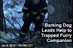 Barking Dog Leads Help to Trapped Furry Companion
