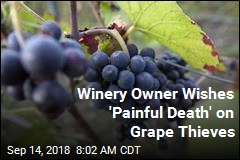 Winery Owner Wishes 'Painful Death' on Grape Thieves